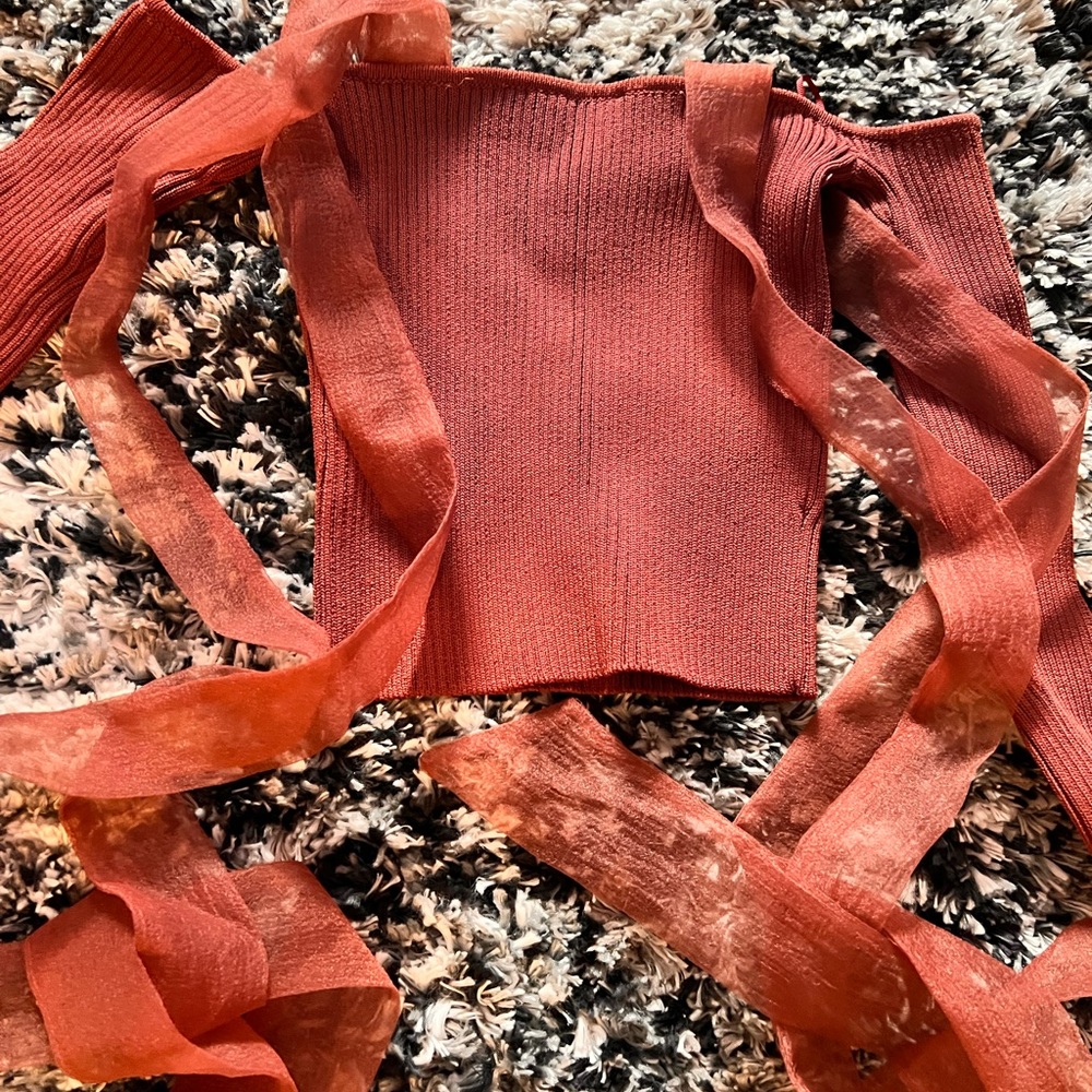 Zara crop top